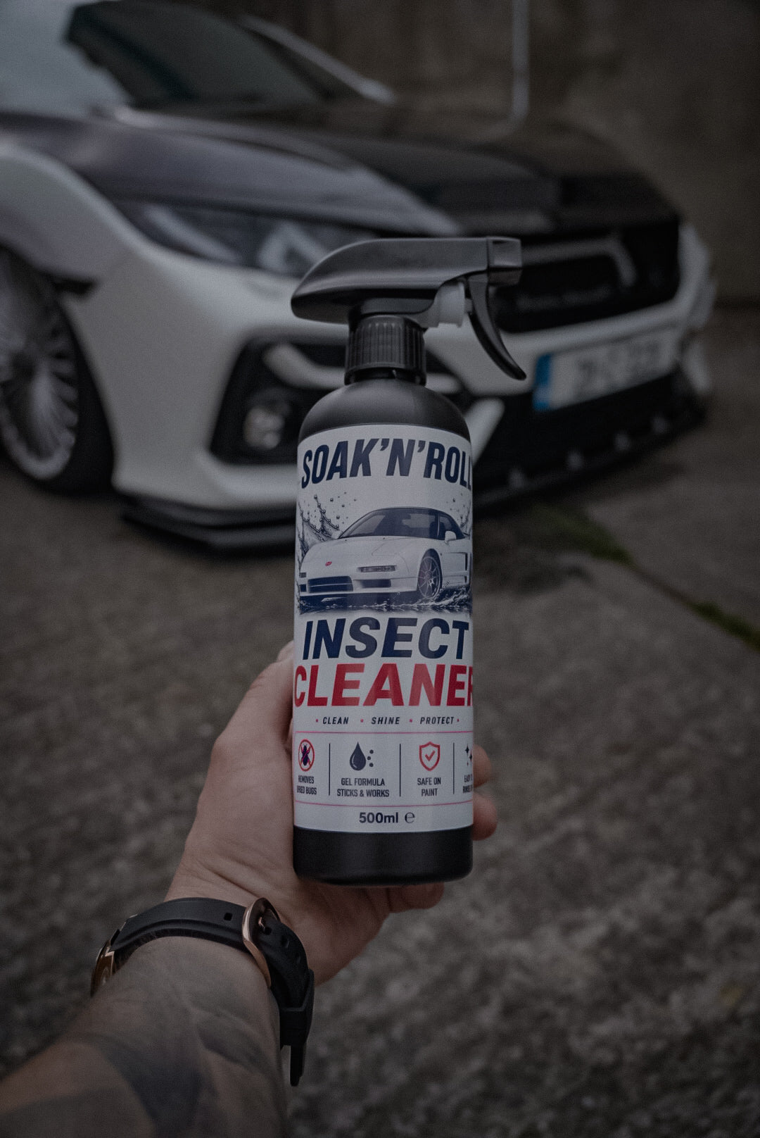 Insect Cleaner